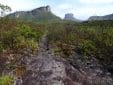 Morrão Trail