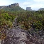 Morrão Trail